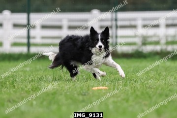 IMG_9131.jpg