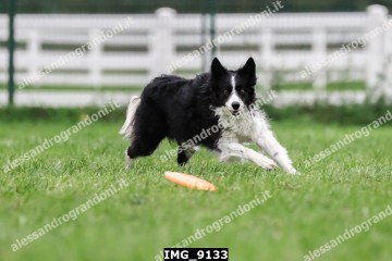 IMG_9133.jpg