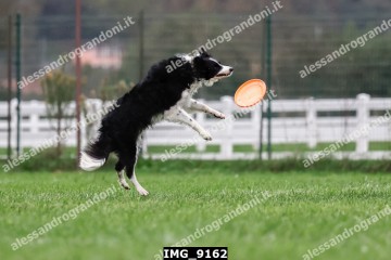 IMG_9162.jpg