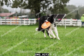 IMG_9272.jpg