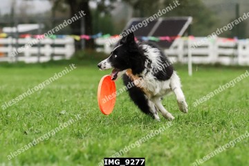 IMG_9277.jpg