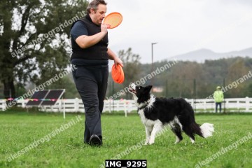 IMG_9295.jpg