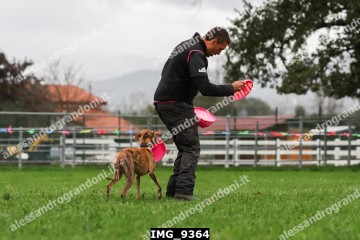 IMG_9364.jpg