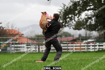 IMG_9369.jpg