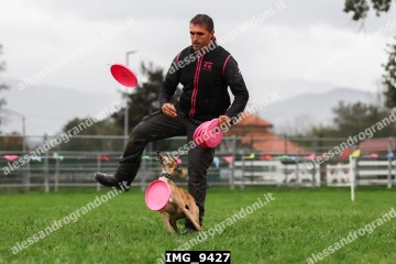 IMG_9427.jpg