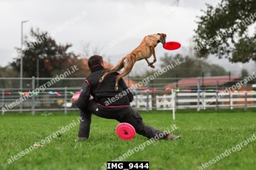 IMG_9444.jpg