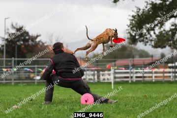 IMG_9446.jpg