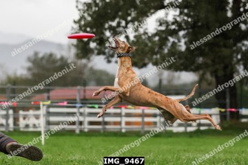IMG_9467.jpg