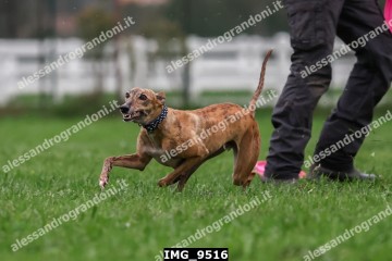 IMG_9516.jpg