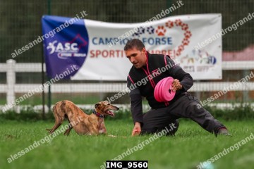 IMG_9560.jpg