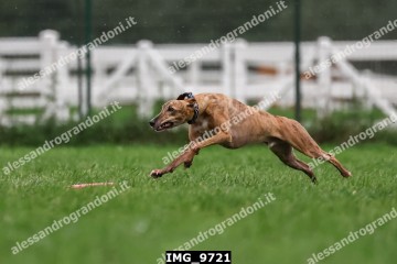 IMG_9721.jpg