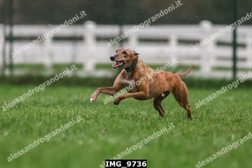 IMG_9736.jpg