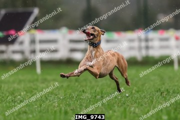 IMG_9743.jpg