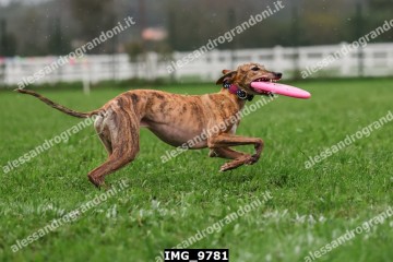 IMG_9781.jpg