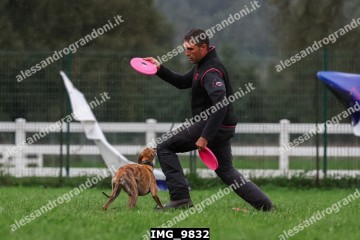 IMG_9832.jpg