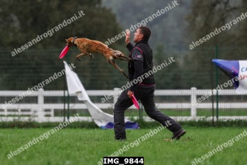IMG_9844.jpg