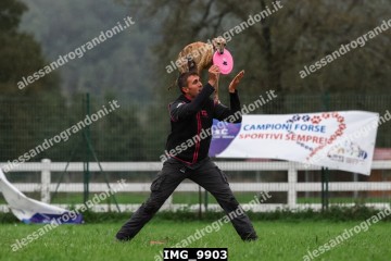 IMG_9903.jpg