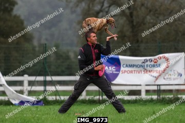 IMG_9973.jpg