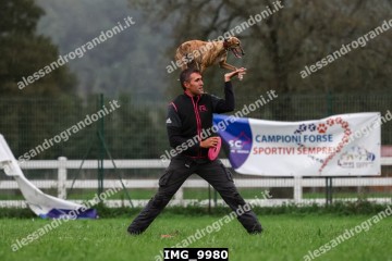 IMG_9980.jpg