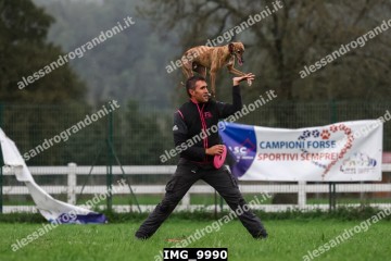 IMG_9990.jpg