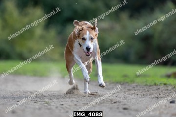 IMG_4088.jpg