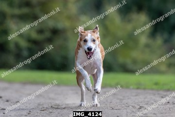 IMG_4124.jpg