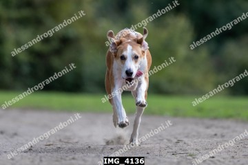 IMG_4136.jpg