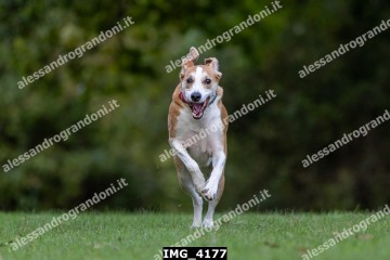 IMG_4177.jpg