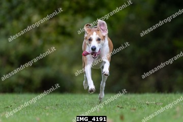IMG_4191.jpg