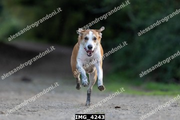 IMG_4243.jpg