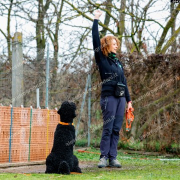 _0542.jpg
