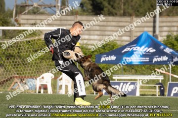 IMG_0363.jpg