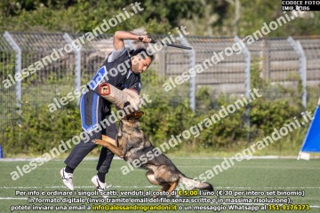 IMG_0386.jpg