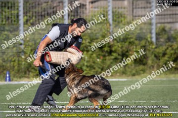 IMG_0387.jpg