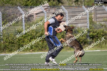 IMG_0394.jpg