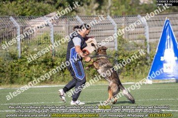 IMG_0396.jpg