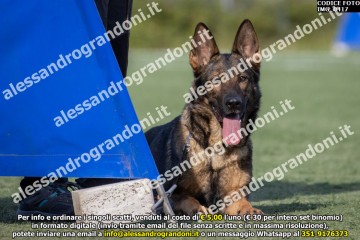 IMG_0417.jpg