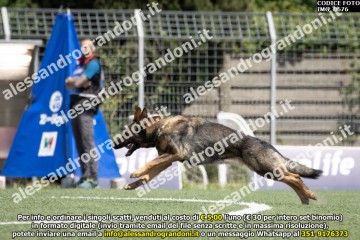 IMG_0676.jpg