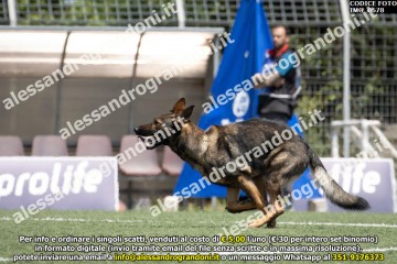 IMG_0678.jpg