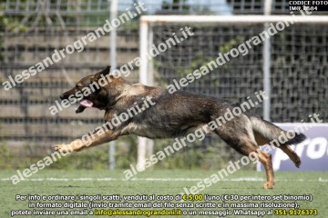 IMG_0684.jpg