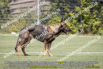 IMG_0692.jpg