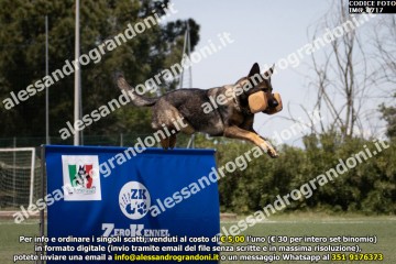IMG_0717.jpg