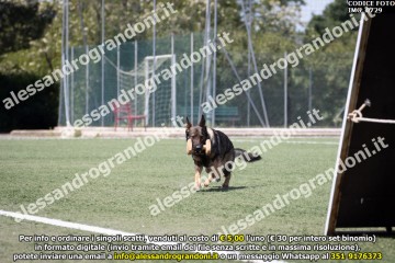 IMG_0729.jpg