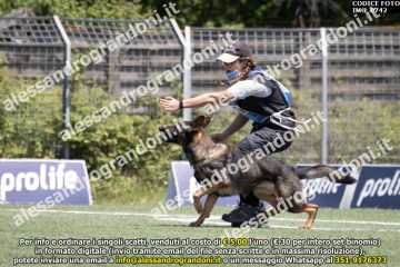 IMG_0742.jpg