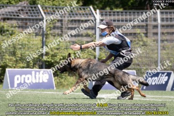 IMG_0743.jpg