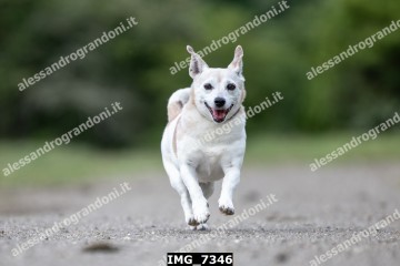 IMG_7346.jpg