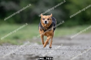IMG_7631.jpg