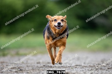 IMG_7678.jpg