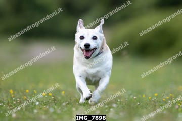 IMG_7898.jpg