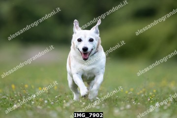 IMG_7902.jpg